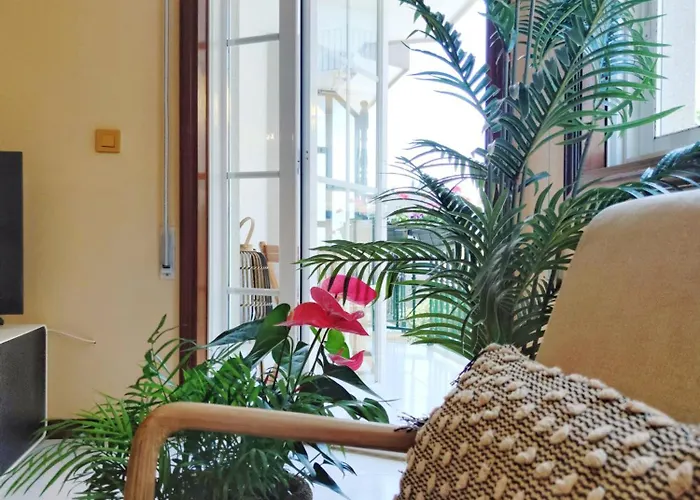 Apartamento Desconectaengalicia Rosalia, 100m Playa Silgar Sanxenxo